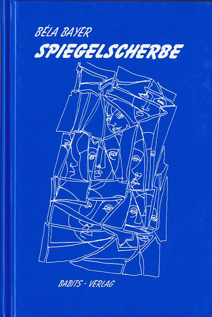 Schutzumschlag: Spiegelscherbe